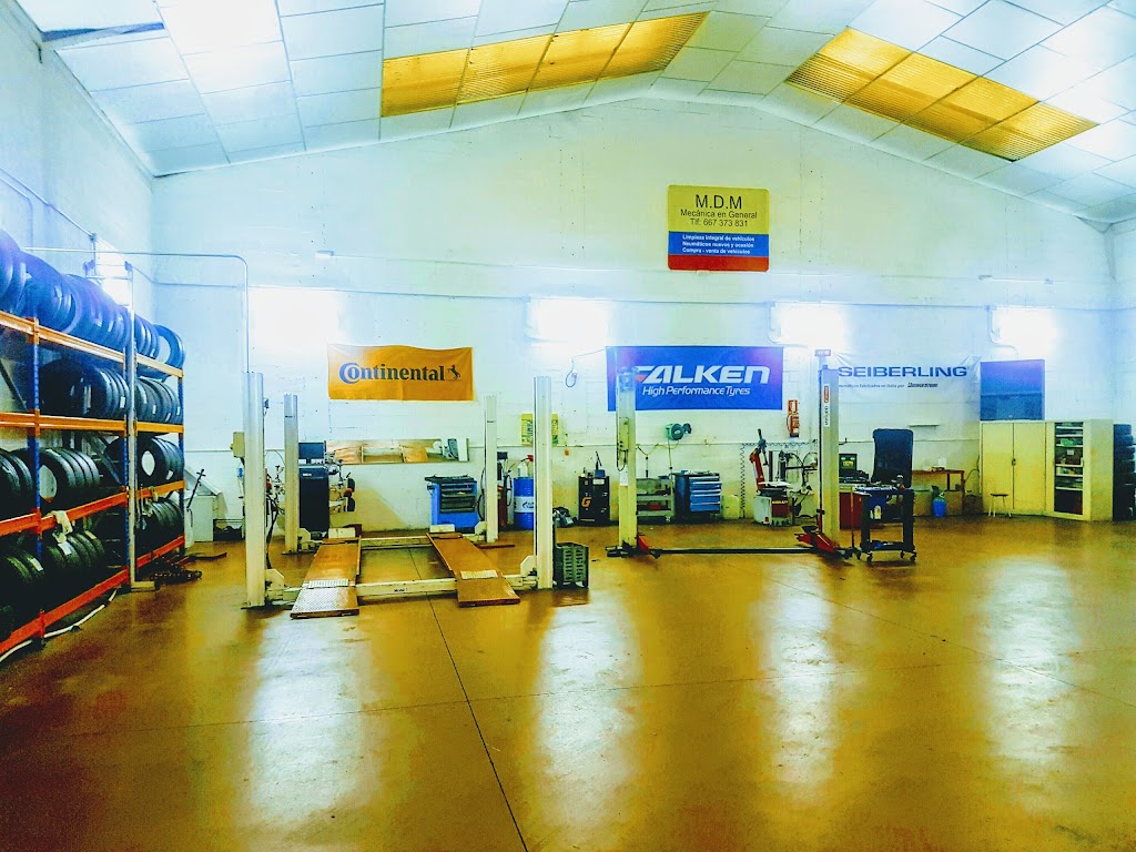 Algerrueda S.L — Interior