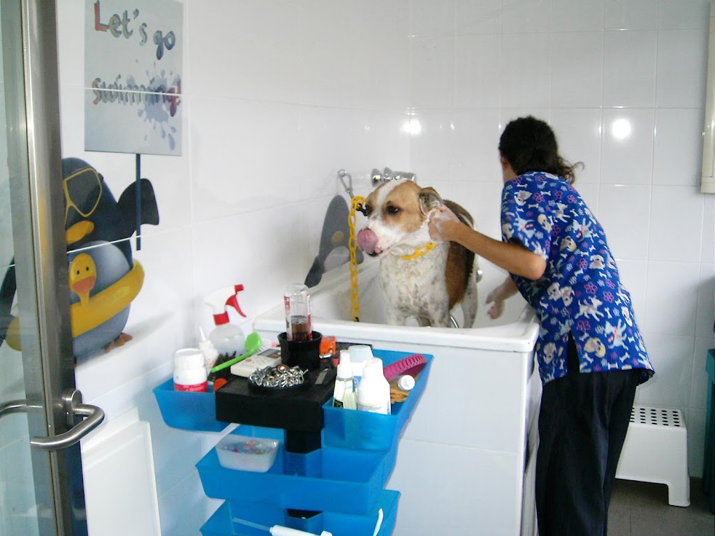 Clinica Veterinaria Santa Eufemia (Tomares) — Del propietario
