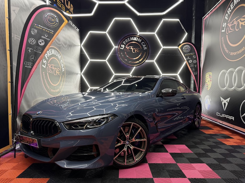 LS Premium Car — Del propietario