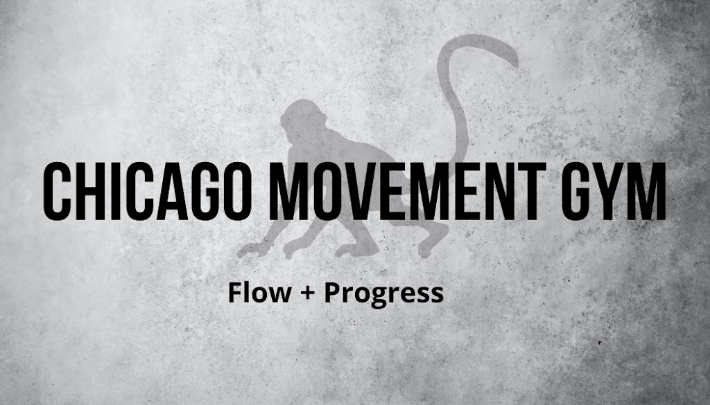  Chicago Movement Gym