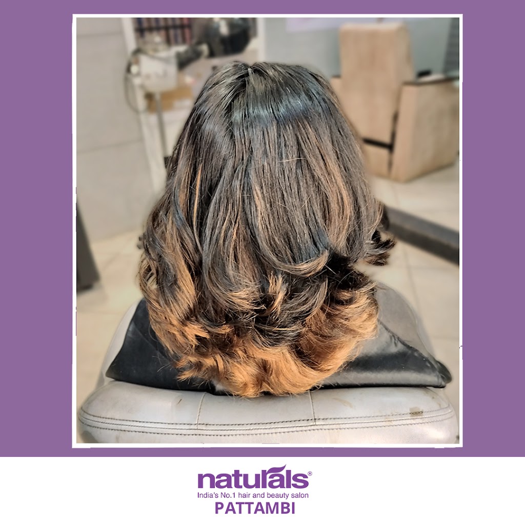 Naturals Salon Spa Pattambi