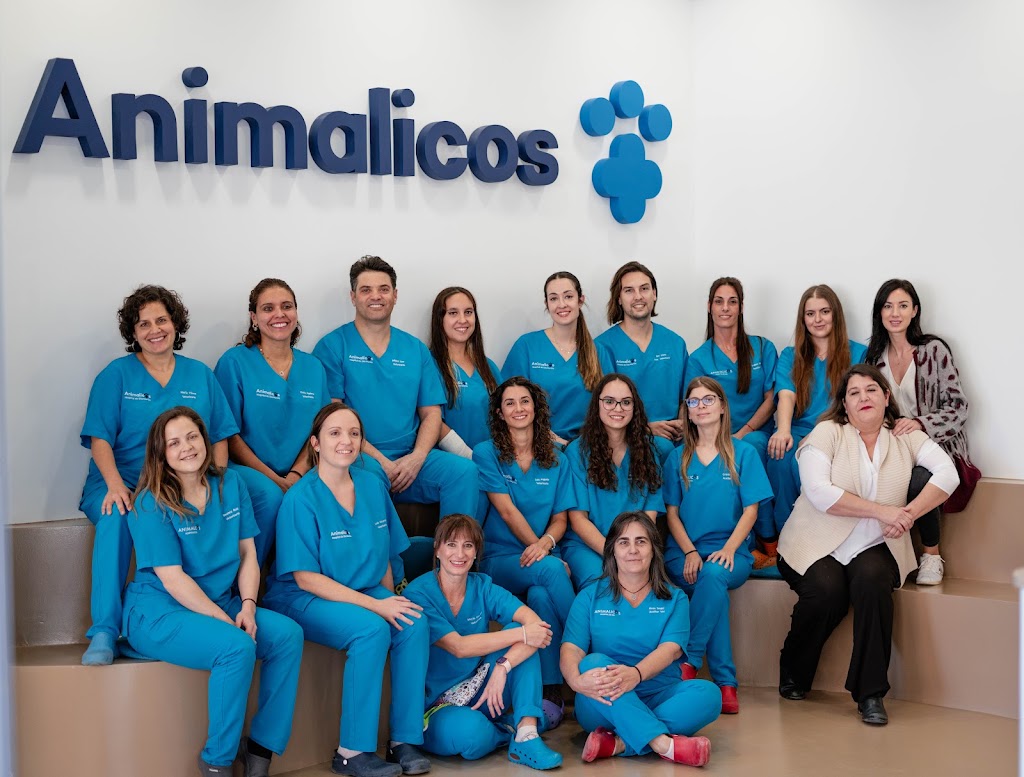 Animalicos Hospital de Dia Veterinario