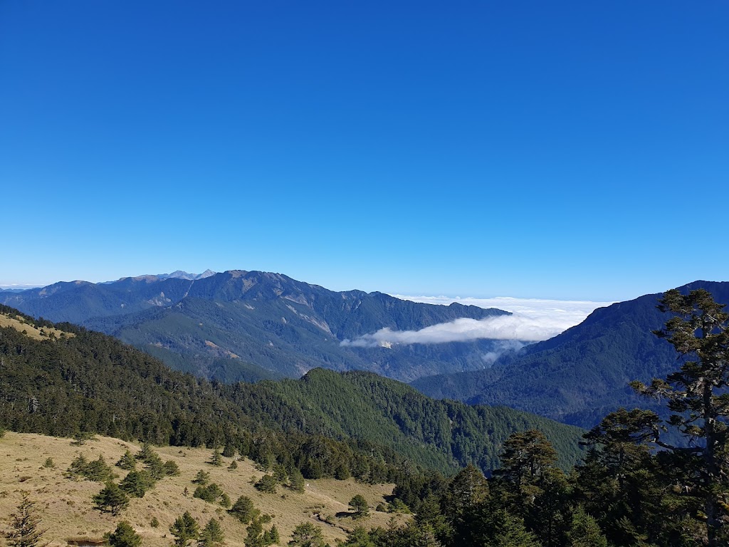 松雪樓餐廳 的照片