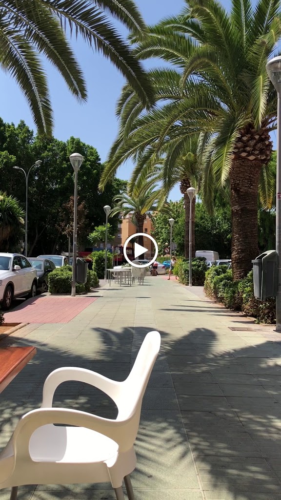Bertie's Friends — Videos