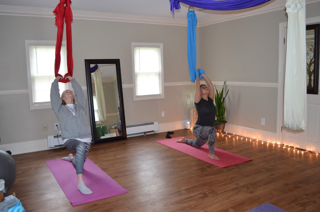  Dragonfly Aerial Studio