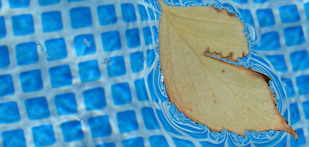 CASA DEL RIEGO// AQUACIES