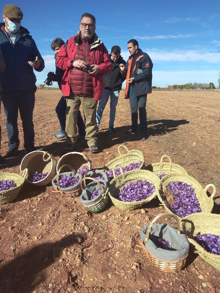 FORAG CURSOS, CONSULTORIA Y SEGUROS AGRICOLAS