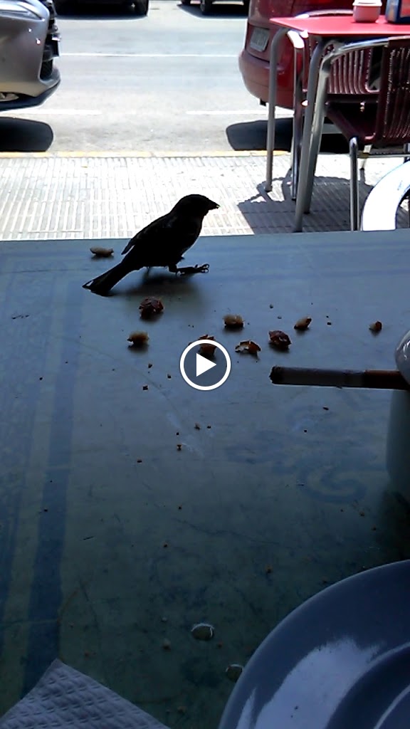 Cafeteria Caracas — Videos