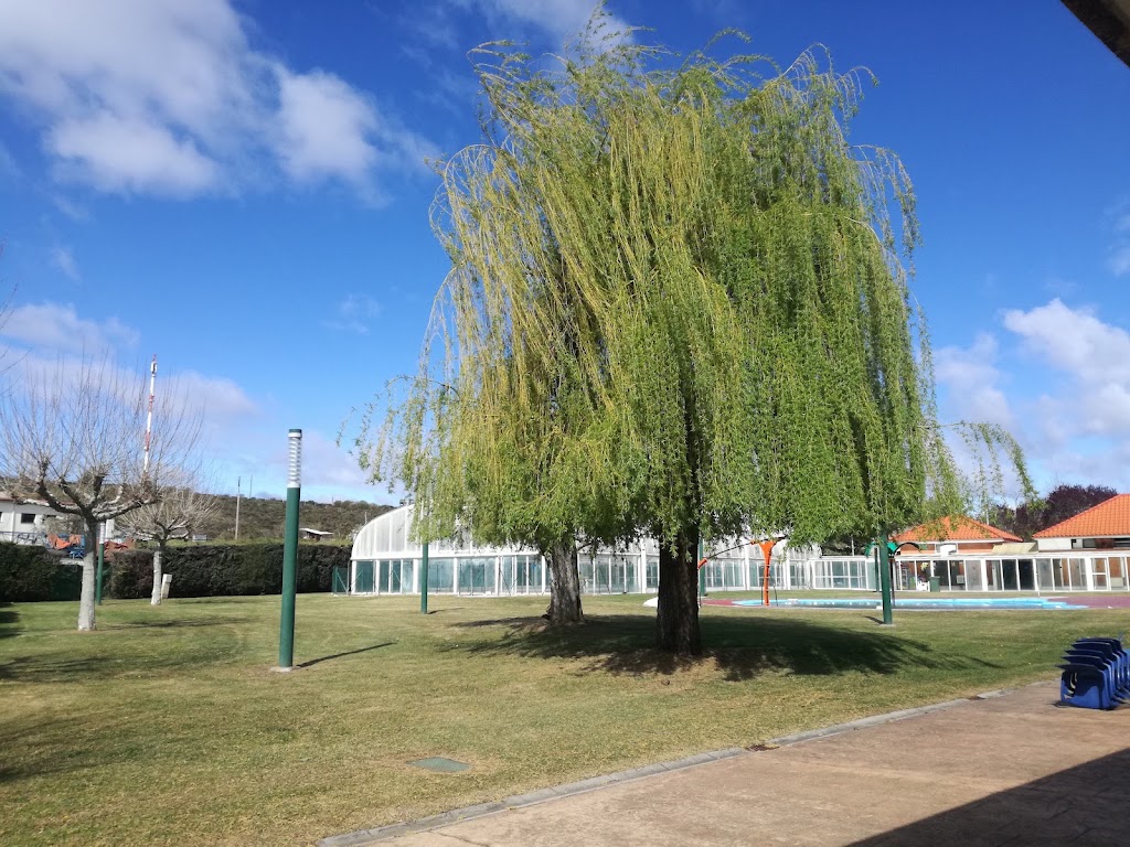 Cafeteria Restaurante Piscinas Trobajo del Camino — Del propietario