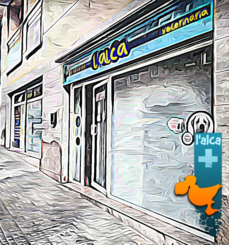 Centre Veterinari l'Alca — Del propietario