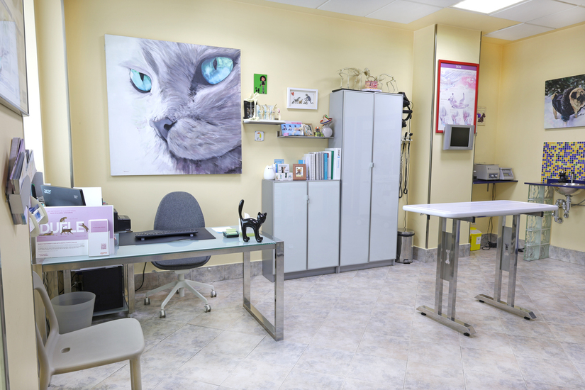 Clinica Veterinaria Trepalio — Del propietario