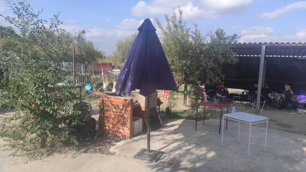 San Nicasio Distrito Rock (nave)