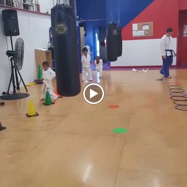  American Taekwon Do