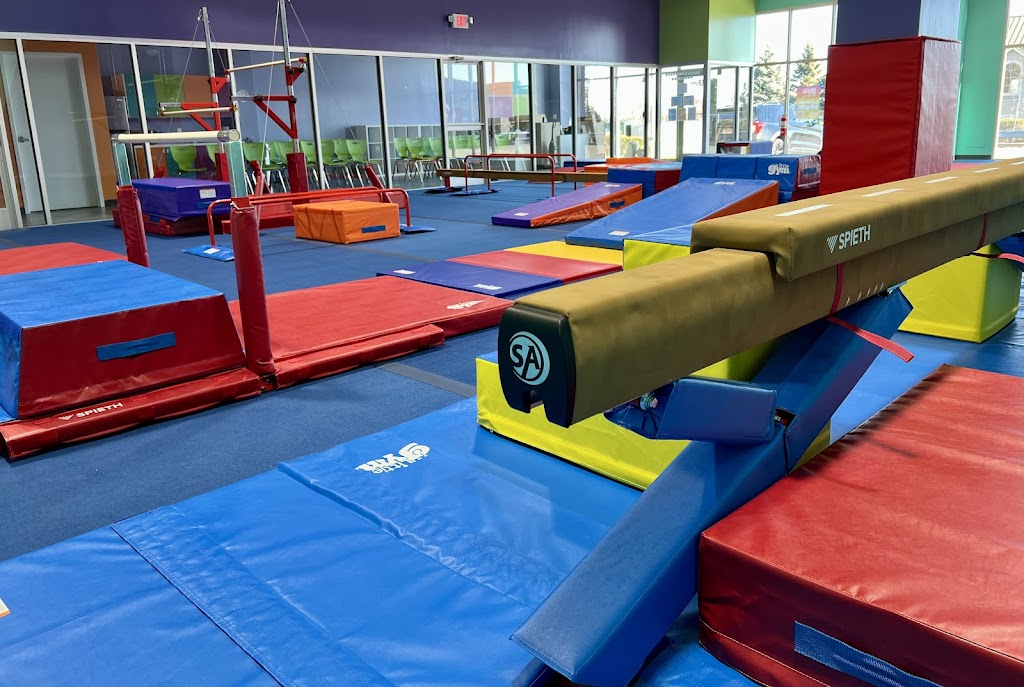  The Little Gym of Leominster