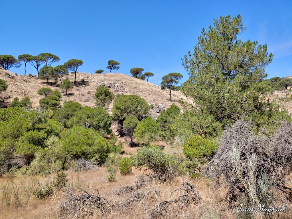 Ruta Castrejon y Pena Halcon