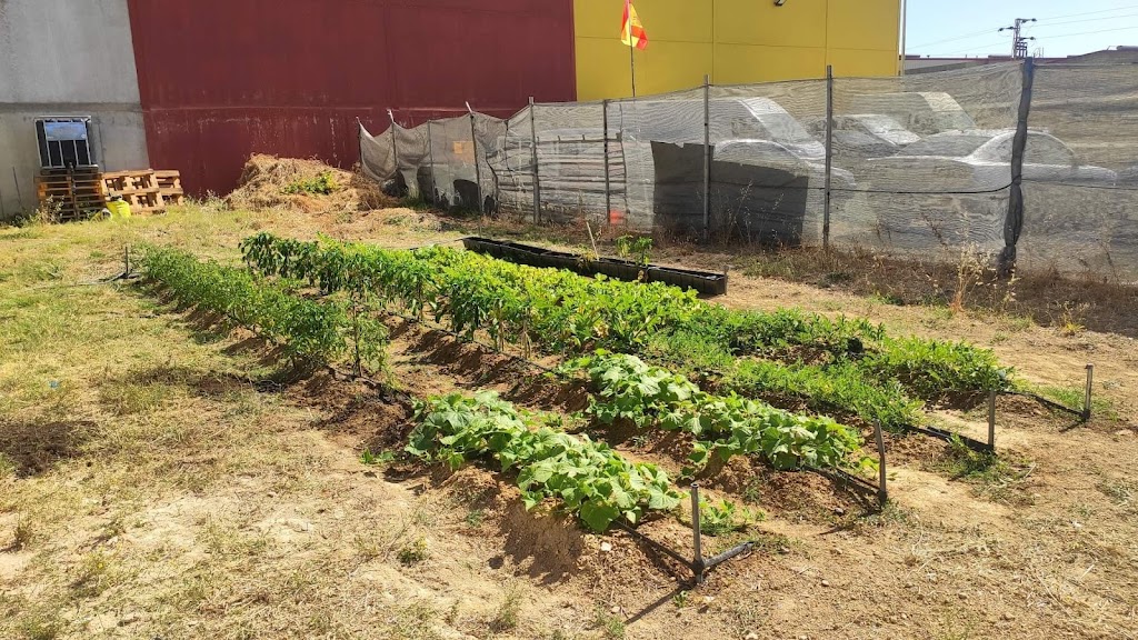 Asociacion de ninos y ninas con TDAH, De Orugas a Mariposas — Del propietario