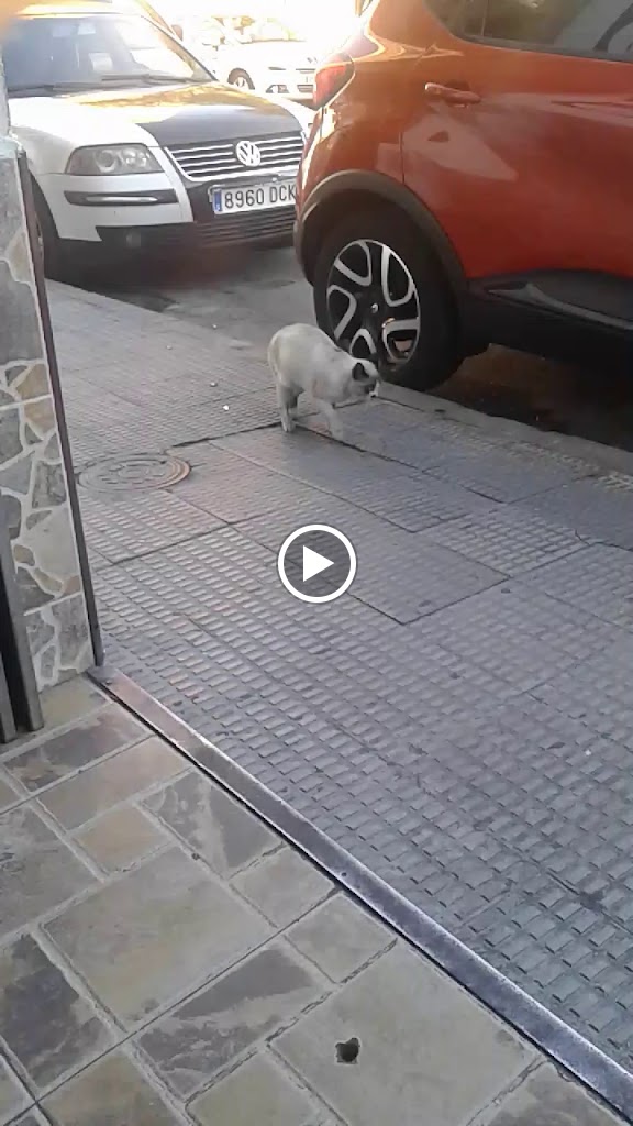 Restaurante Cafeteria La Parada — Videos