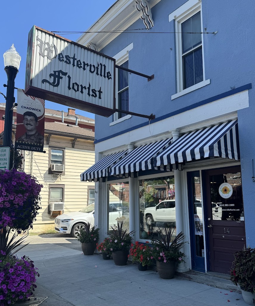 Westerville Florist