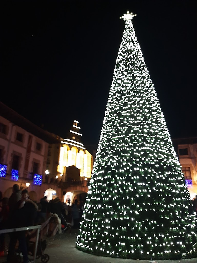 Salon de juegos cafeteria Hontza