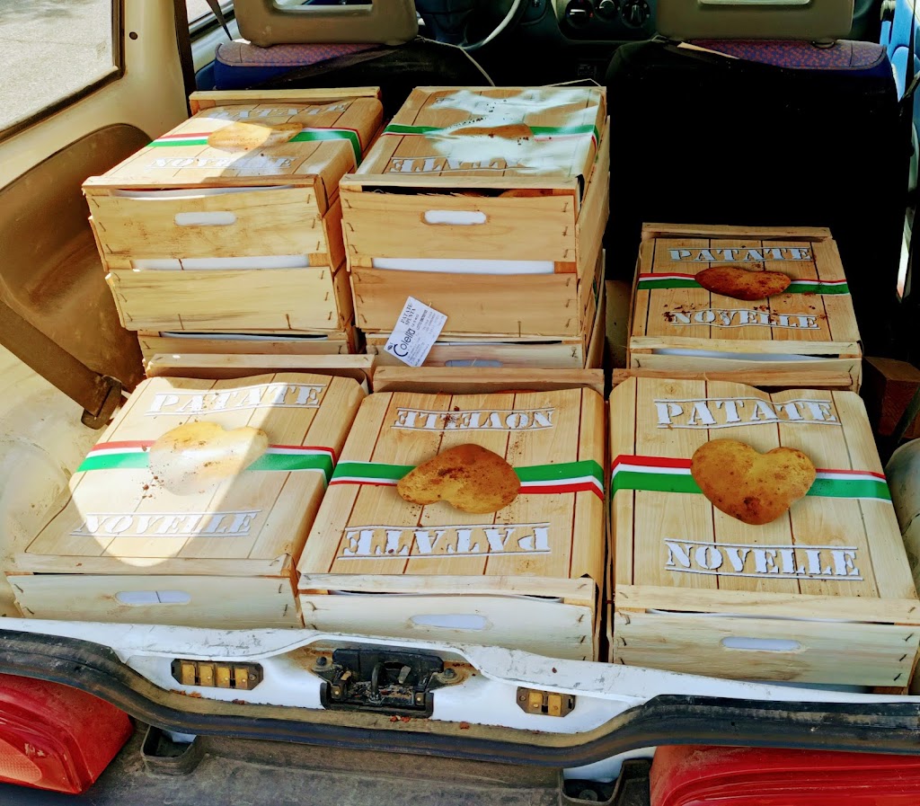 Paninoteca Al Gabbiano