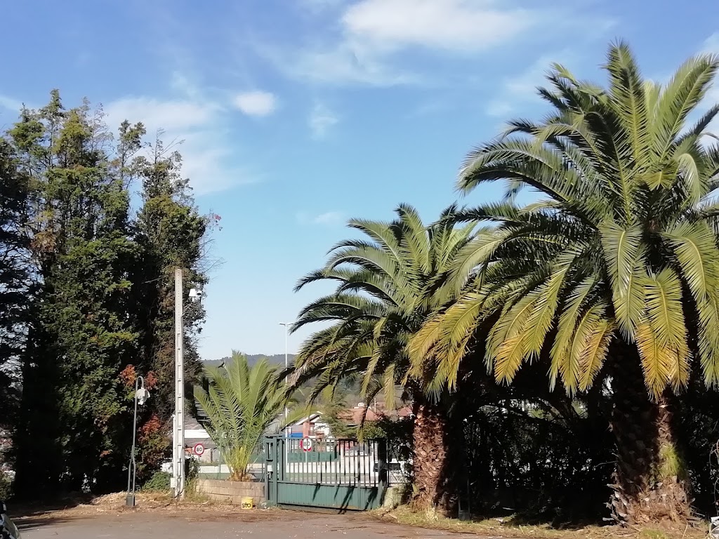 Autos carpediem s.l — Del propietario