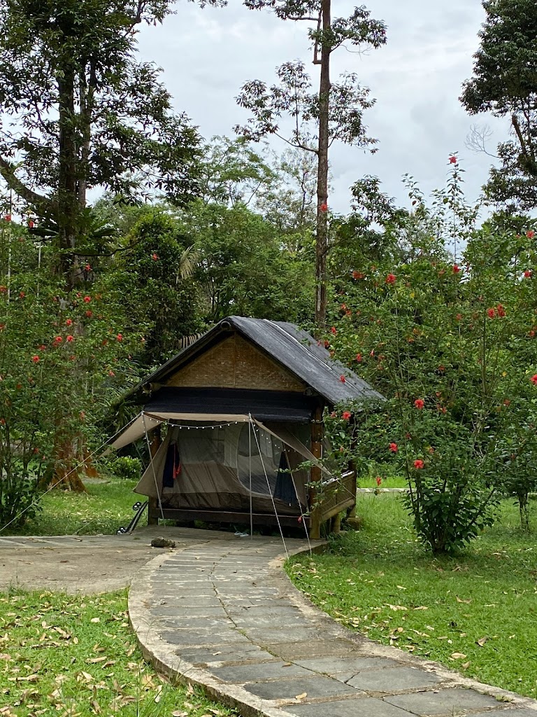 Taiping Durian Valley Camp Site