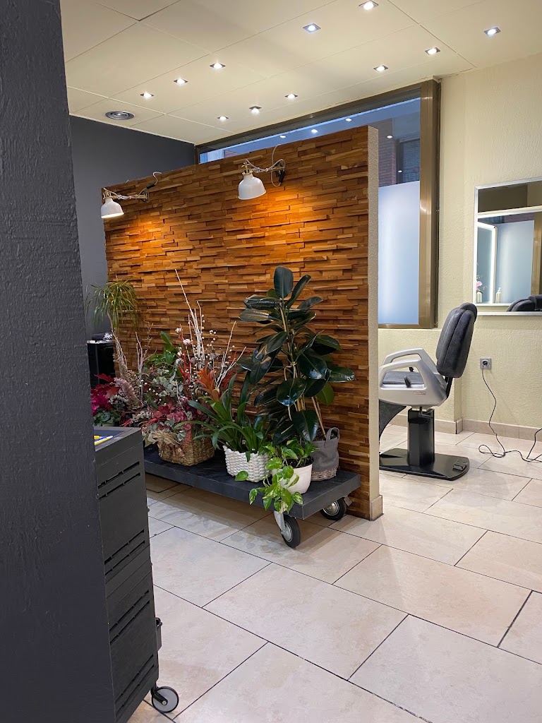 Peluqueria Llagostera — Interior