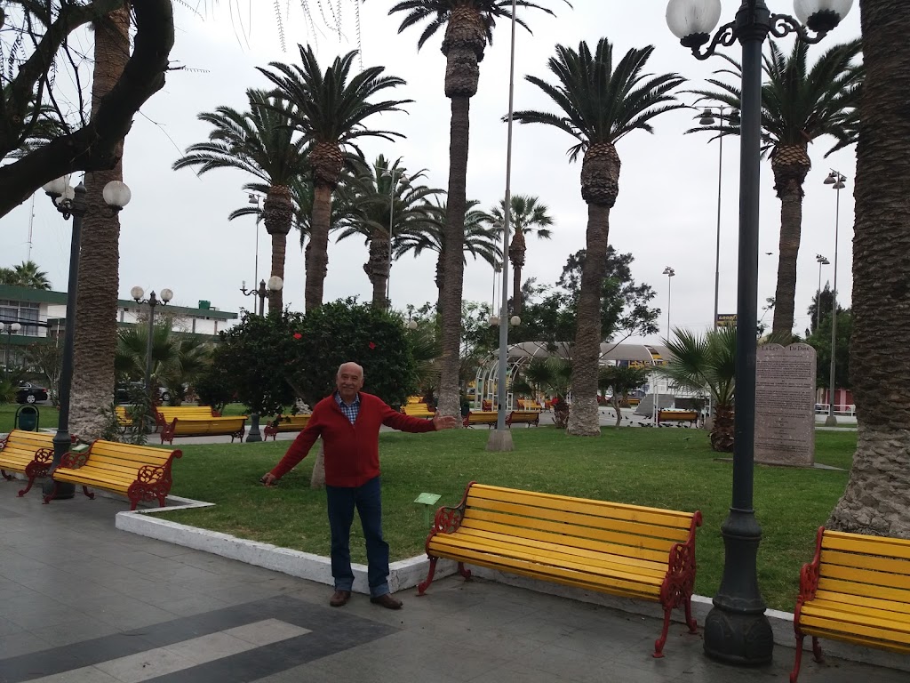 De los visitantes