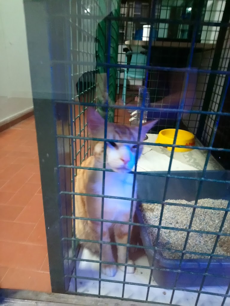 Foto da avaliação