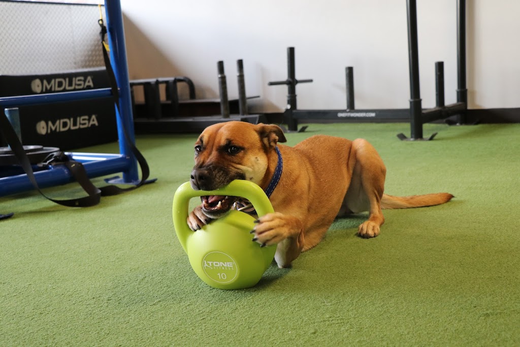  Progressive Performance Kirkland