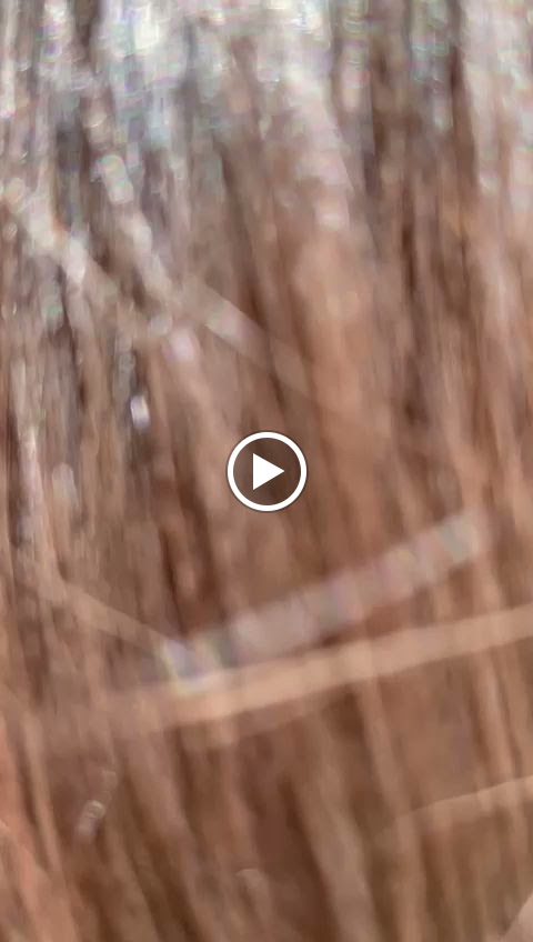 ABANIBI - Centro de estetica avanzada & Hair studio — Videos