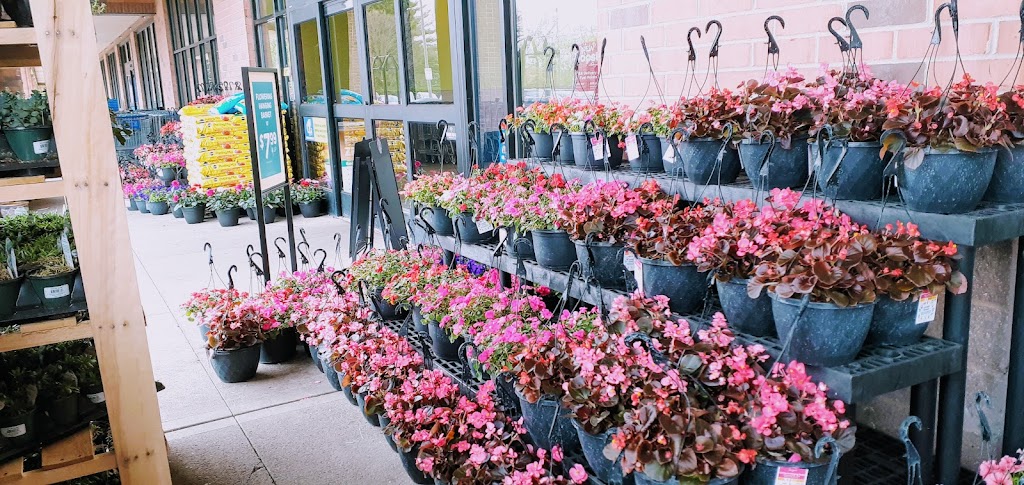 Kroger Floral