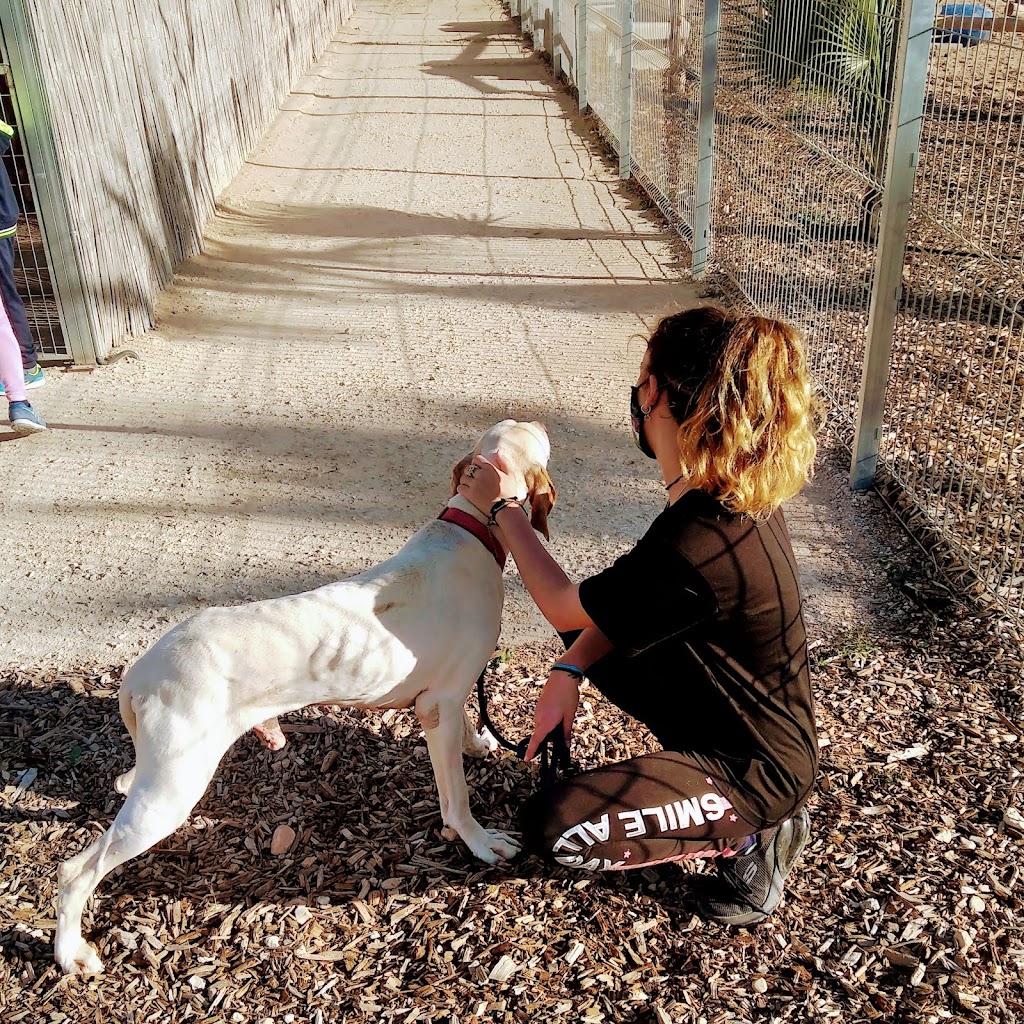 Unidad Movil Veterinaria CM Aspe. Pablo Calatayud.