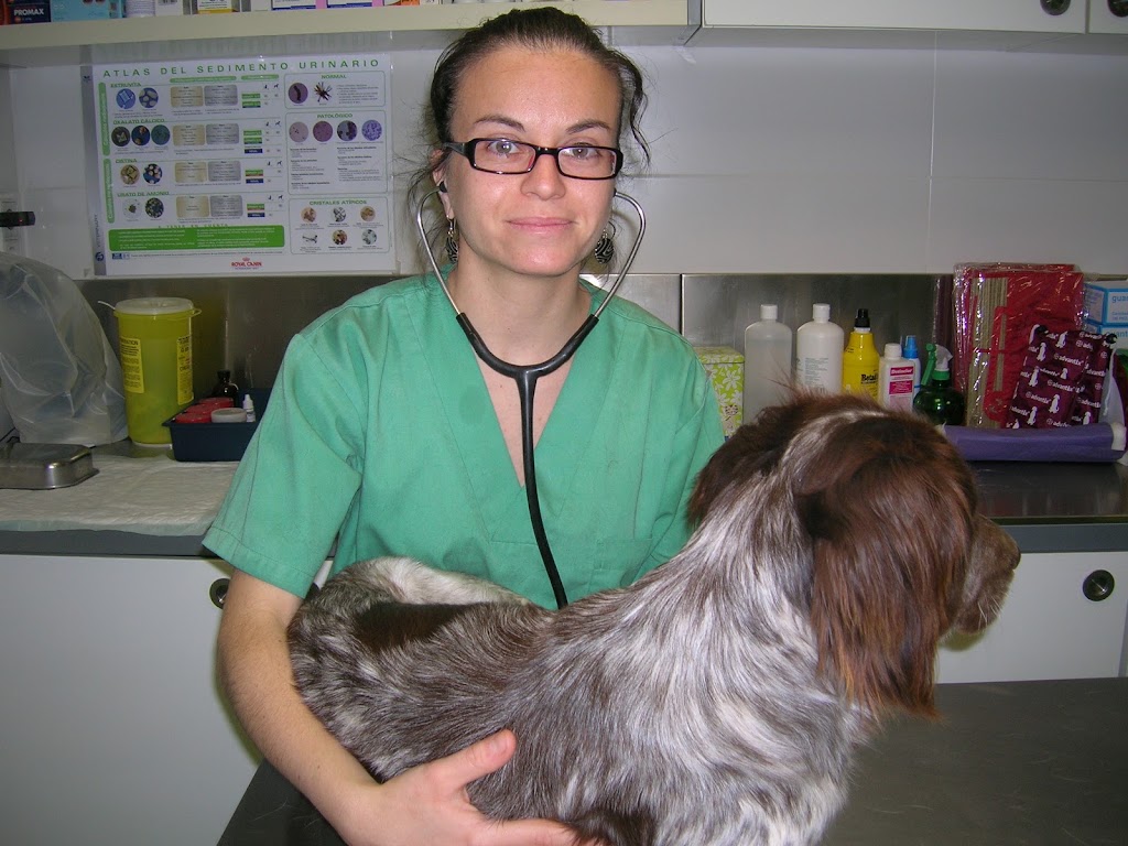 Centre Veterinari de la Plana — Perro