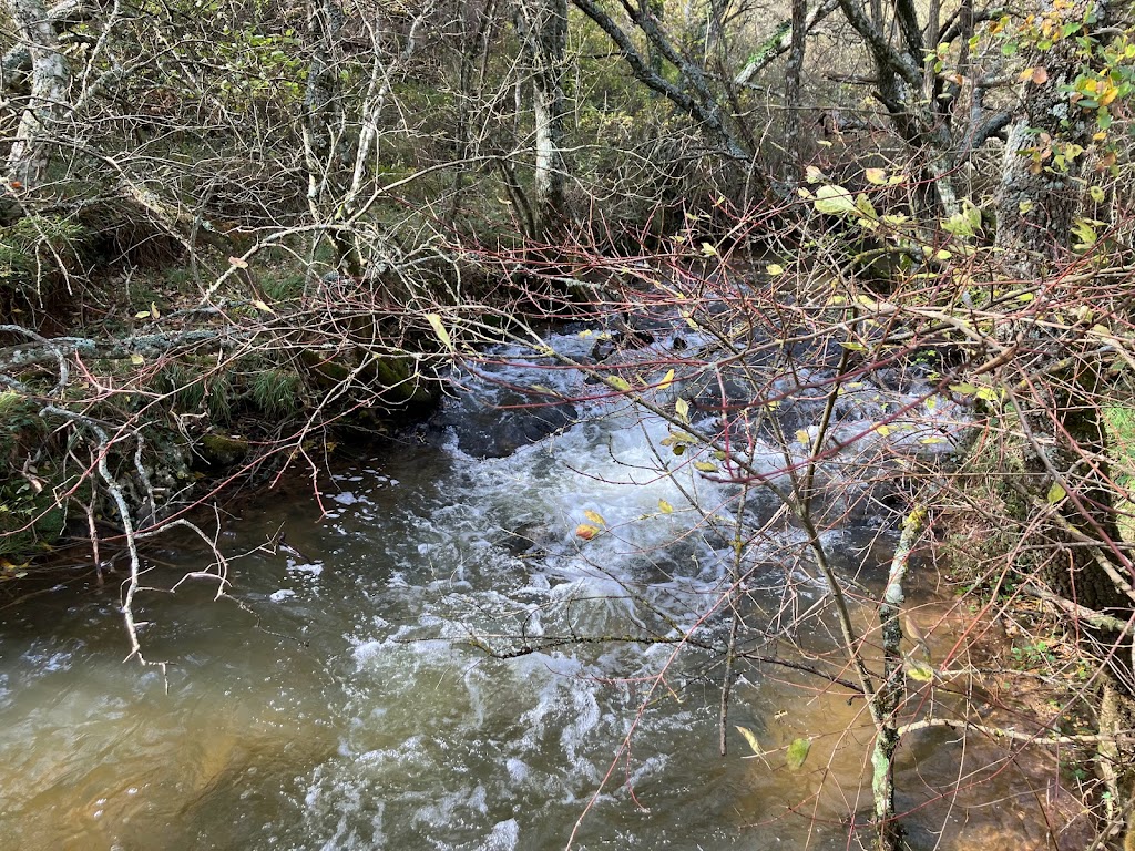 Ruta del Piscardano (hoces del Odra)