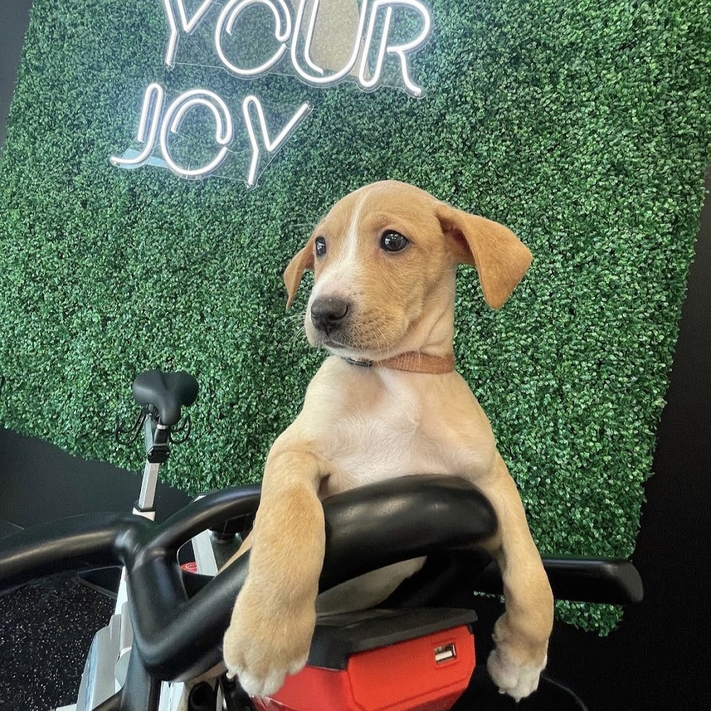  JoyRyde Knox Cycling Studio