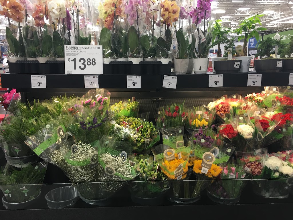Sam's Club Floral