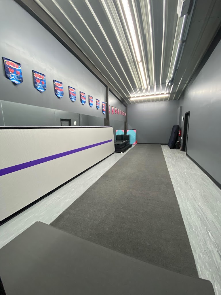  DYNAMYX Dance Company