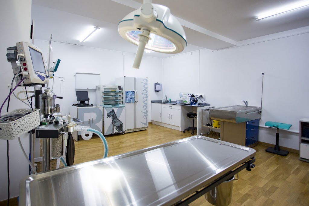 Agora Clinica Veterinaria — Del propietario