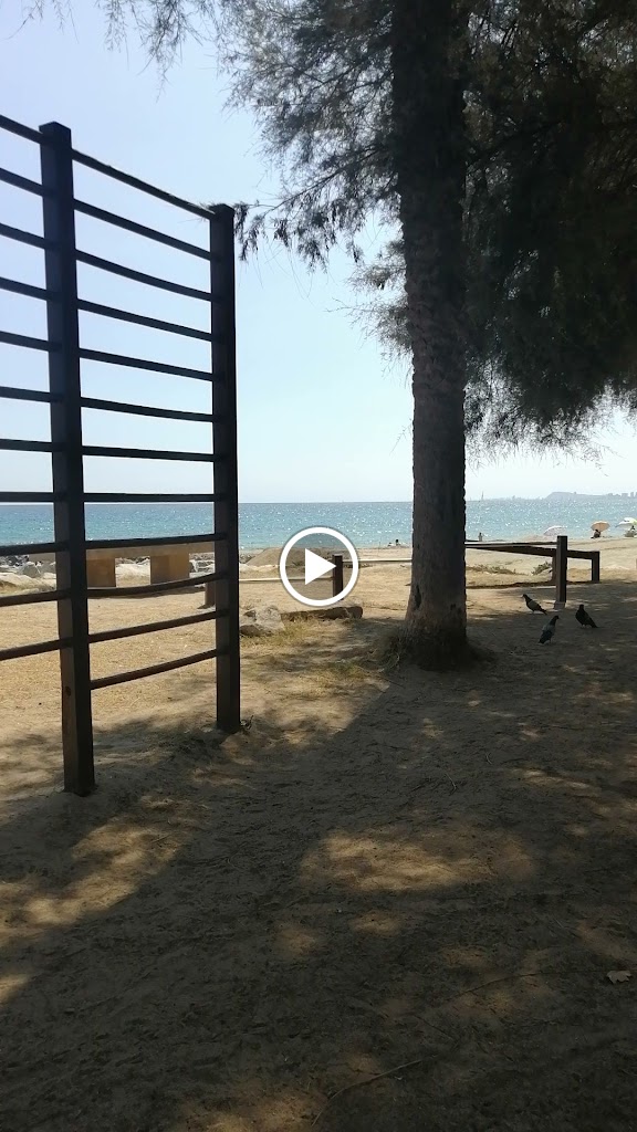 Platja Pla de I'Os(Calistenia) — Videos