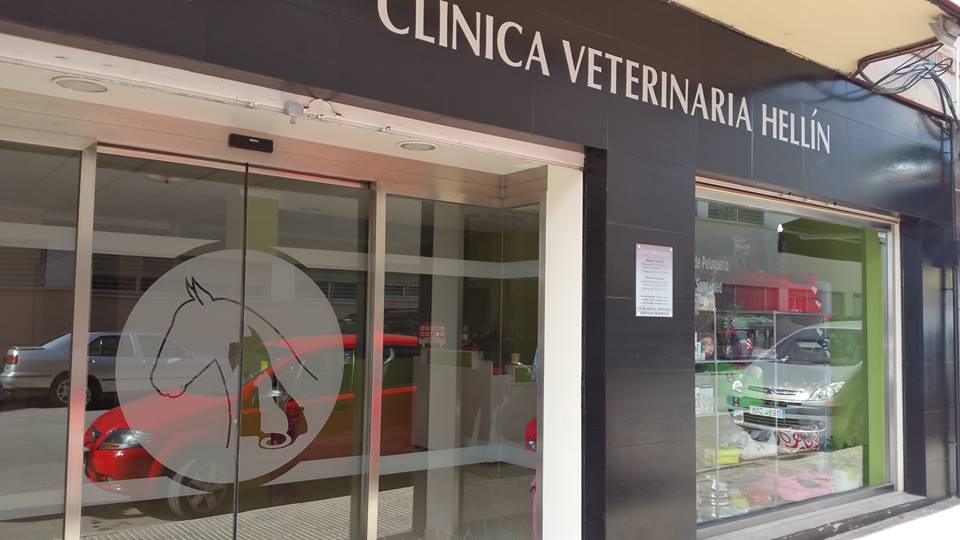 Clinica Veterinaria Hellin — Del propietario