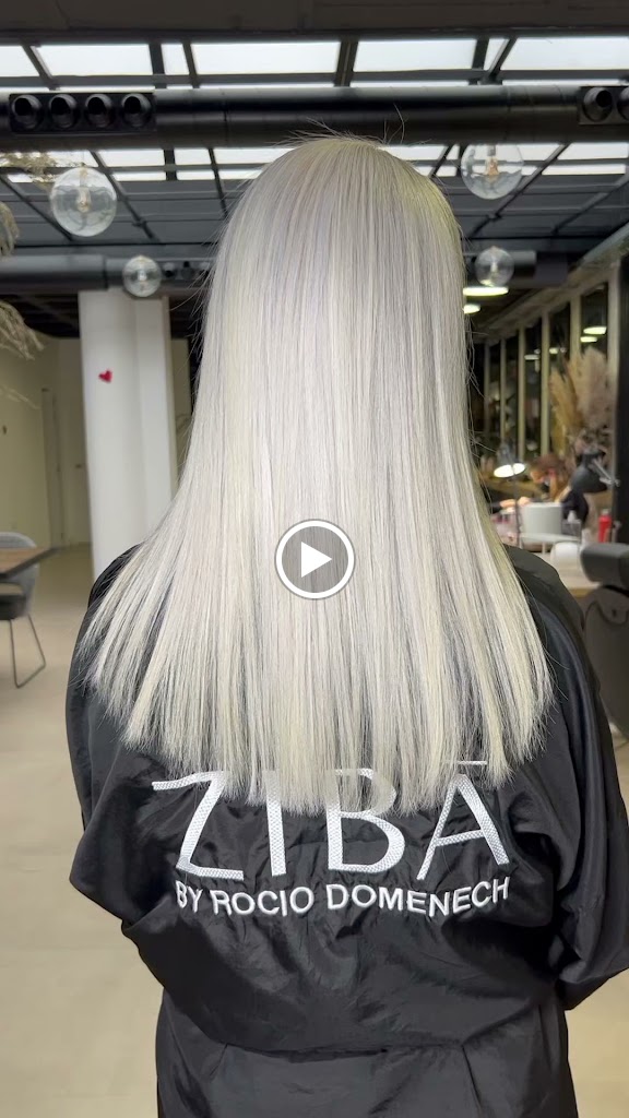 ZIBA by Rocio Domenech — Videos