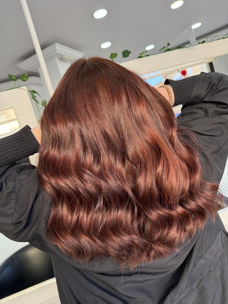 Troyano peluqueria y estetica — Mas recientes