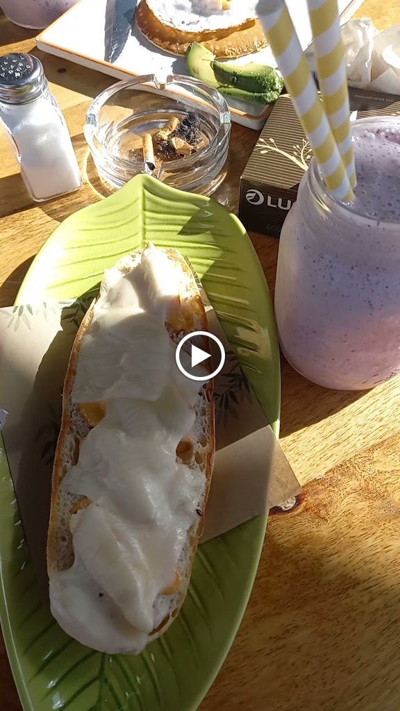 Katoa wild wild cooking — Videos