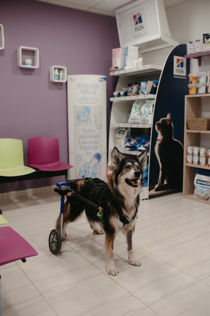 Clinica Veterinaria Trivet Calafell — Del propietario