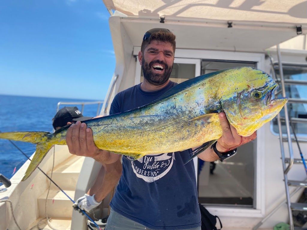 Alquiler barcos Torrevieja, Ociomar