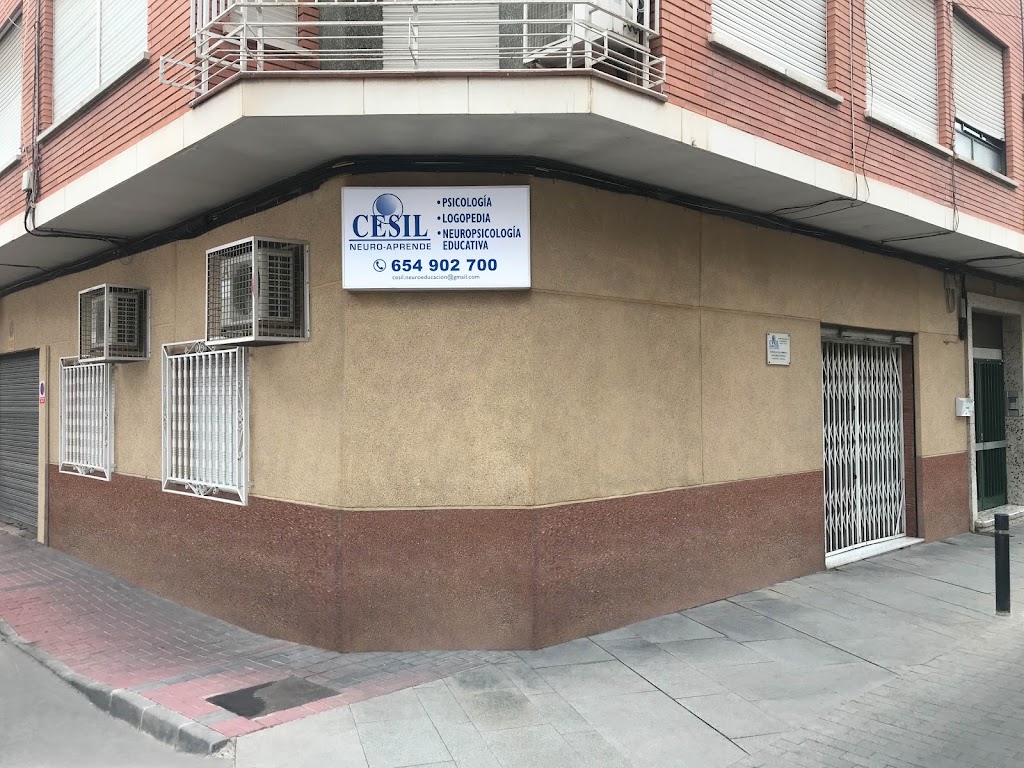Psicologia y Logopedia Cesil — Del propietario