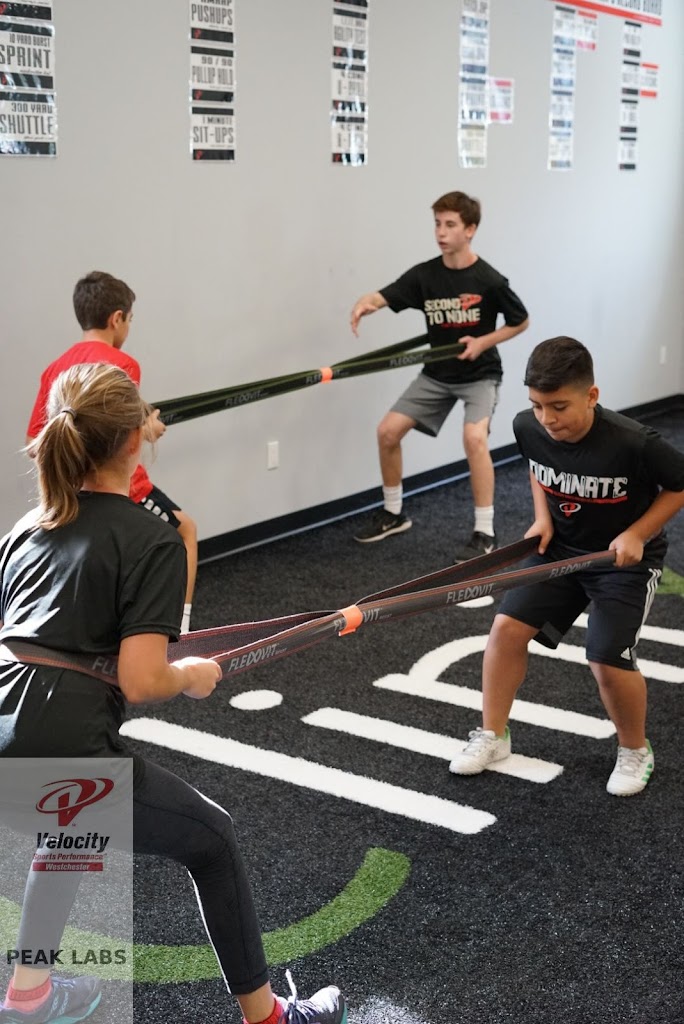  Velocity Sports Performance (Armonk)