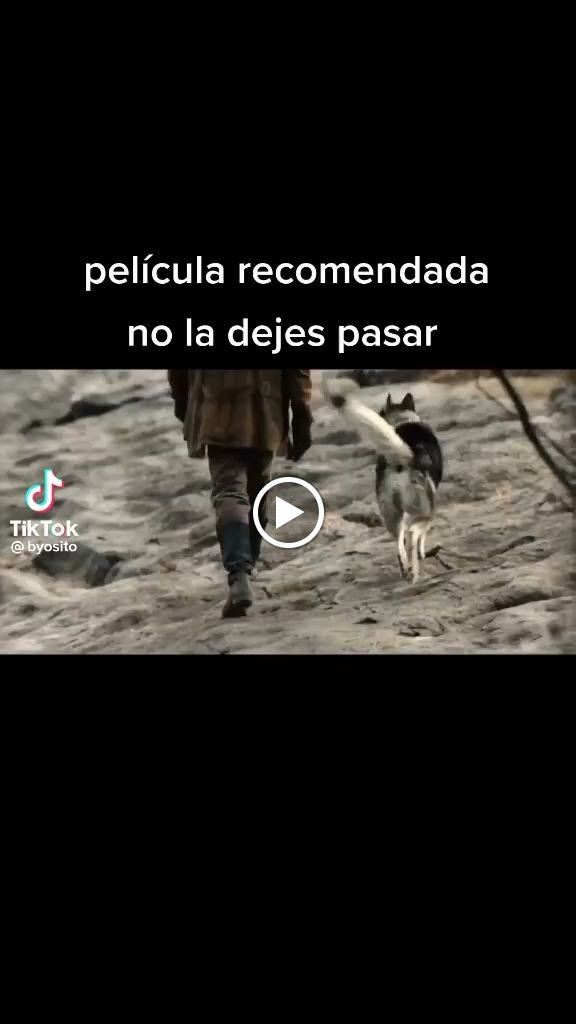 Videos
