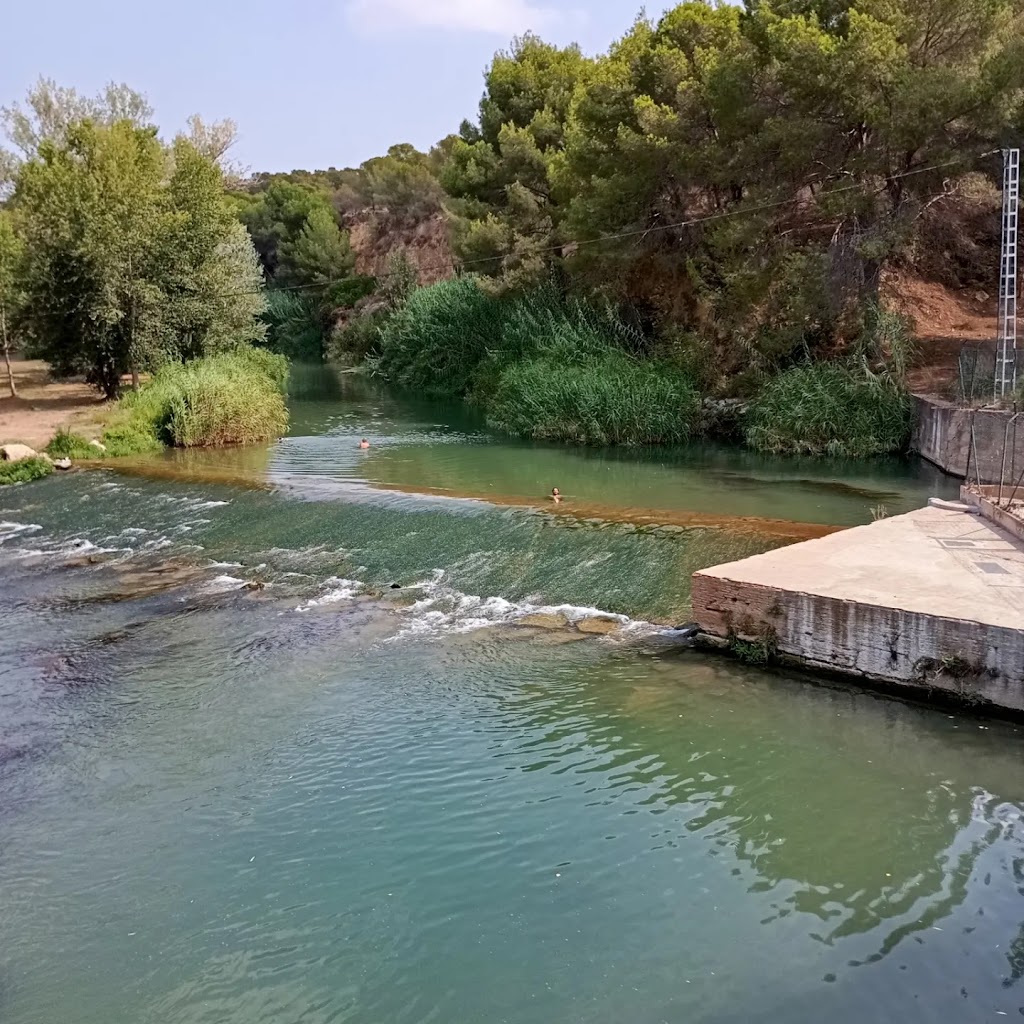 Presa de Manises